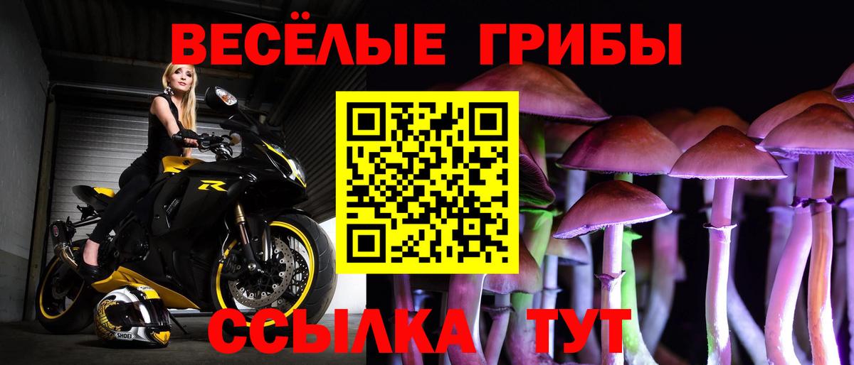 Славгород  Галлюциногенные грибы Psilocybe  купить наркотики сайты  Вход с VPN 